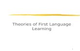 Theories of first language learning