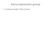 Gene expression group presentation at GAW 19