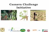 GRM 2011: Improving cassava to withstand drought and disease in Africa ‒ E Okogbenin