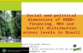 Social and political dimensions of REDD+ financing, MRV and benefit distribution across levels in Brazil
