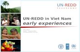 UN REDD in vietnam