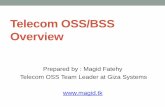 Telecom OSS/BSS Overview