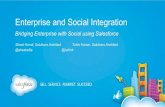 Enterprise and Social Integration Using Force.com
