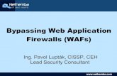 Bypassing Web Application Firewalls