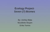Biology Project-Erika Torres