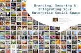 Branding, Securing & Intergrating Your Tibbr Enterprise Social Space
