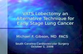VATS Lobectomy an Alternative Technique for Early Stage Lung ...