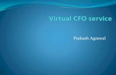 Virtual CFO Brief Profile