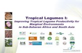 TLIII: Tropical Legumes I – Improving Tropical Legume Productivity for Marginal Environments – NN Diop