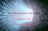 Back propagation network