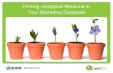 Finding Untapped Revenue in Your Database