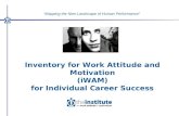 Individual Effectiveness and Career Success
