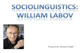 Socioliguitics: William Labov