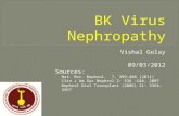 Bk virus nephropathy