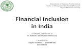 Financial inclusion in india