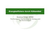 Energieeffizienz durch Kältemittel (Andrea Voigt, EPEE-Generaldirektorin Brüssel)