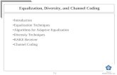 CSM Equalization, Diversity, and Channel Coding PART2