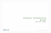 Hinduja Interactive Company Profile