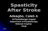 Spasticity after stroke