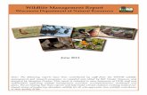 June Issue Wisconsin Wildlife Management Bi-Monthly Report