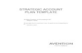 Strategic Account Plan Template