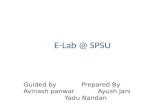 E lab @ spsu (s imulation for elearning)