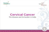 Cervical Cancer Disease Burden