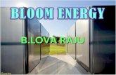 Bloom energy