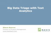 II-SDV 2013 Big Data Triage with Text Analytics