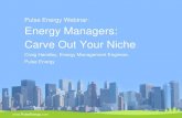 Pulse webinar: Energy Managers, Carve out Your Niche, June 2011
