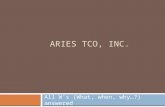 Aries Tco Solutions - The Concept