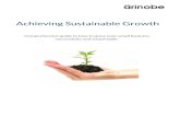 Achieving Sustainable Business Growth
