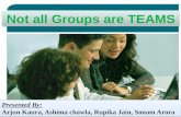 Not all groups are teams