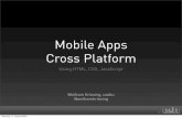 Mobile Apps Cross Platform - Webmontag Frankfurt 2009