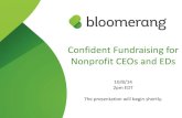 Confident Fundraising for Nonprofit CEOs and EDs