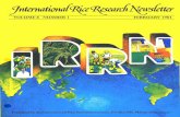 International Rice Research Newsletter Vol.8 No.1
