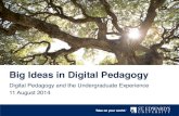 Big Ideas in Digital Pedagogy