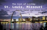 Econ st. louis_project_powerpoint_5[1]