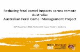 Mike Eathorne: 'Commercial use, industry engagement'. Reducing feral camel impacts across remote Australia: Australian Feral Camel Management Project Session 2 - Governance and delivery