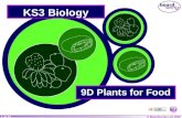 Year 9 Biology Topic Plants for Food