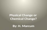 Physical change or chemical change