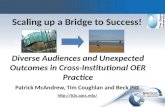 Scaling up a Bridge to Success