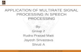 multirate signal processing for speech