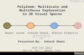 PolyZoom: Multiscale and Multifocus Exploration in 2D Visual Spaces