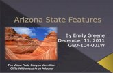 Arizona state features