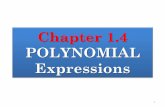 1.4 polynomials