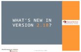 What's new in Performance Vision version 2.18
