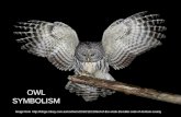 Owl symbolism 2