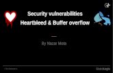 Security Vulnerabilities: Heartbleed & Buffer Overflow.