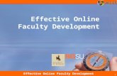 2010 Effective Online Faculty Development